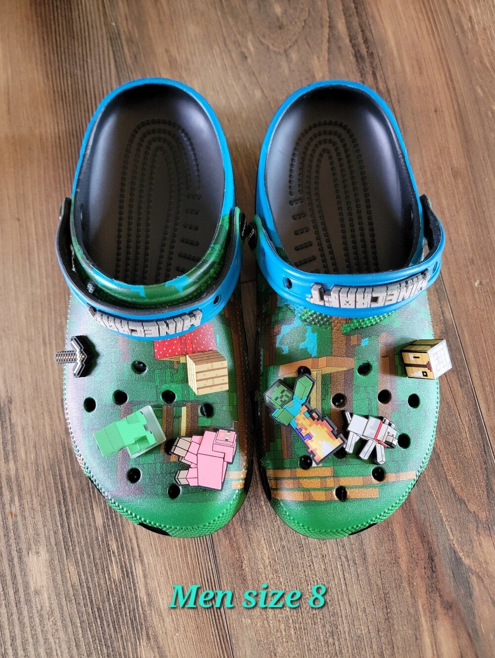 CROCS Minecraft Clogs with Character Jibbitz